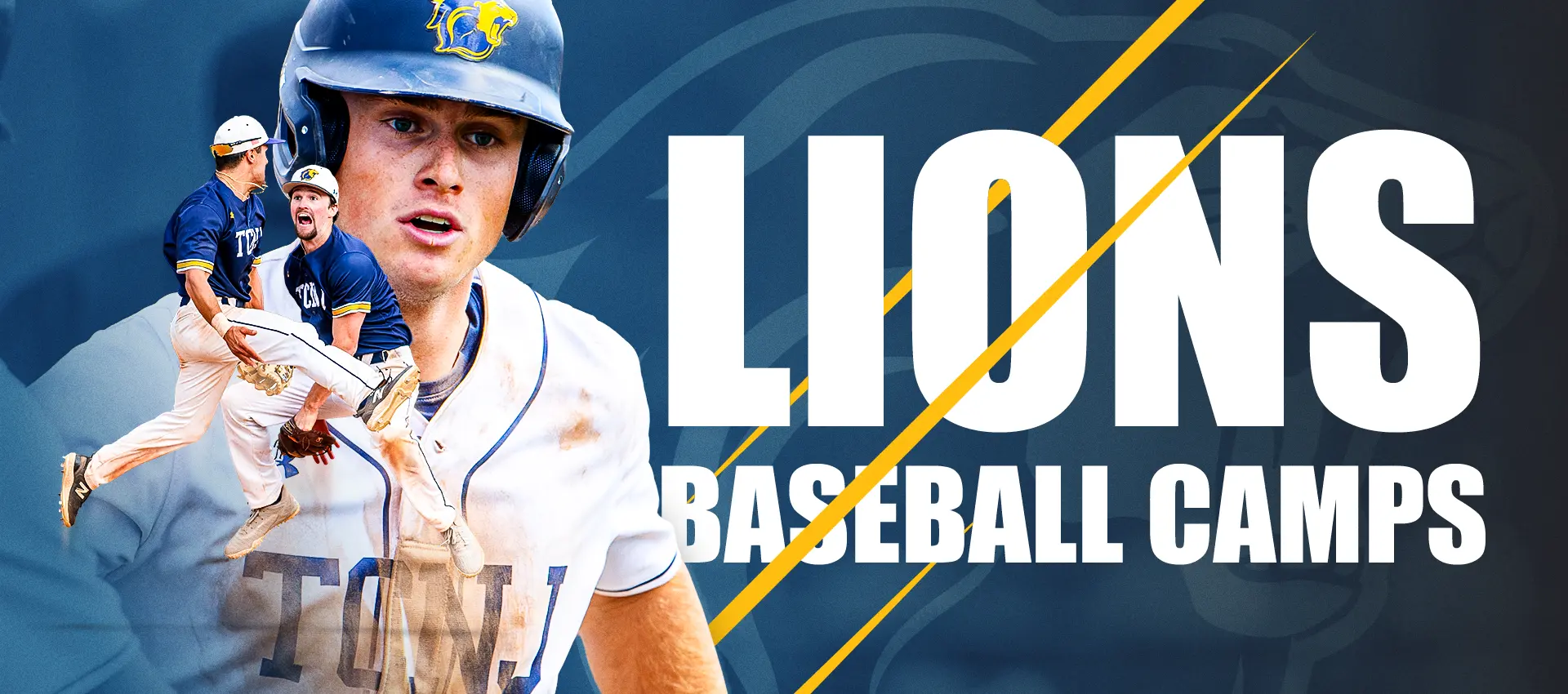 Lions Baseball Camps