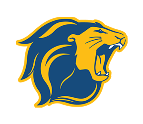 Lions Baseball Camps