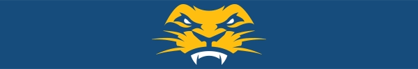 Lions Logo