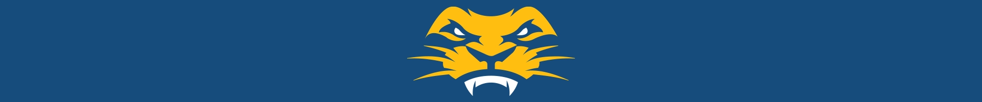 Lions Logo